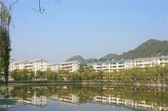 湖畔山庄园林绿化项目工程